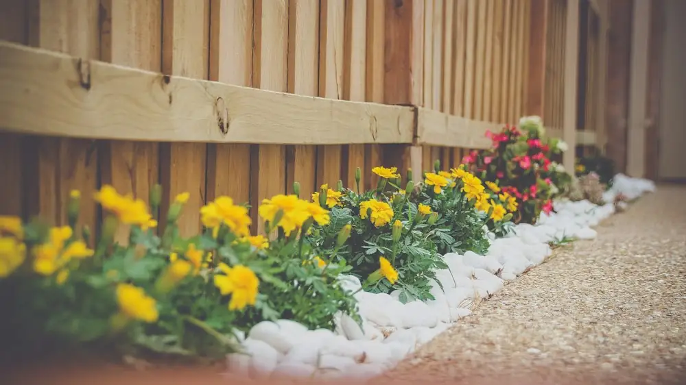 A well kept garden with a trimmed lawn, tidy planted borders and paving