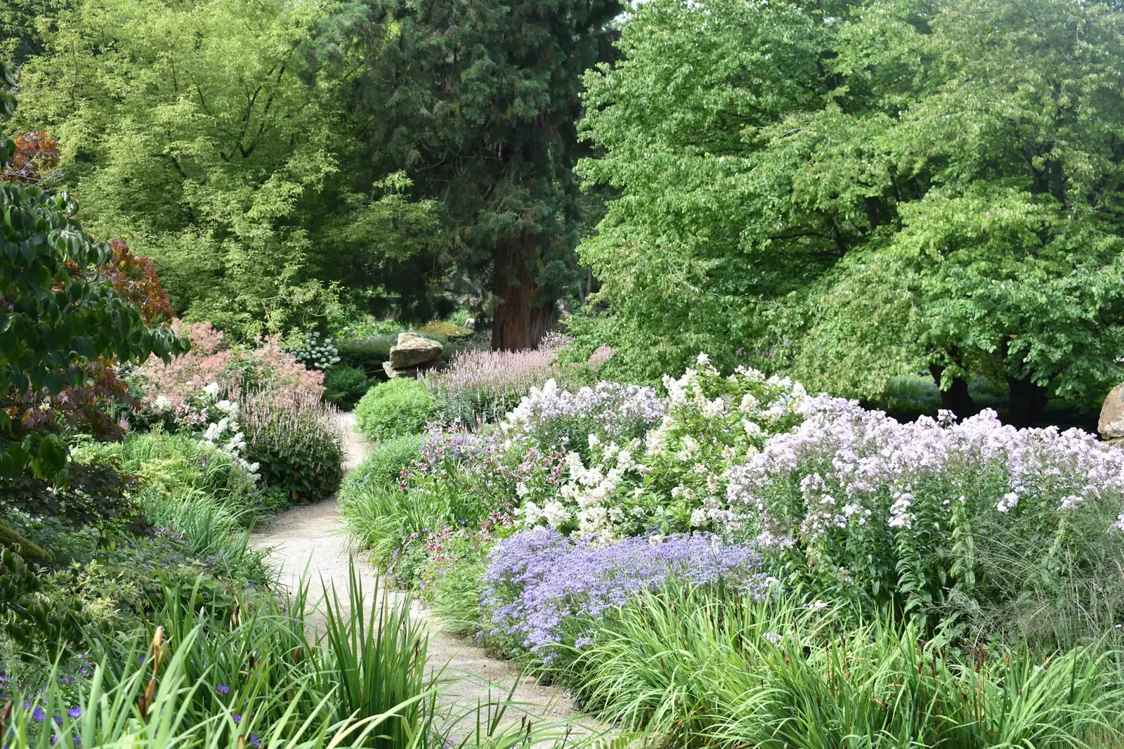 A newly laid lawn running up to a paved edge in a rear garden